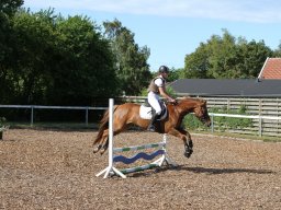 img_4343_web